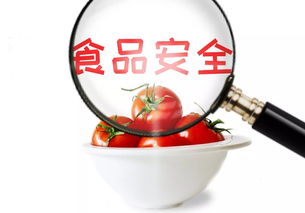 守護舌尖安全，共筑食安淄博——關于征集市民最關心的食品安全與餐飲管理問題的倡議
